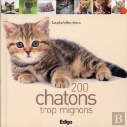 Bertrand.pt - 200 Chatons Trop Mignons