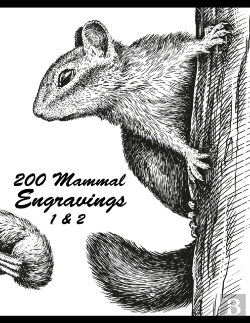 Bertrand.pt - 200 Mammal Engravings 1 & 2