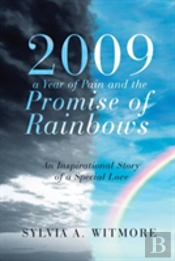 2009-A Year Of Pain And The Promise Of Rainbows