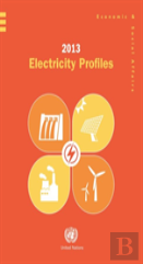 2013 Electricity Profiles