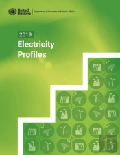 2019 Electricity Profiles