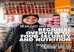2019 Near East And North Africa