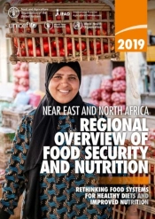 2019 Near East And North Africa