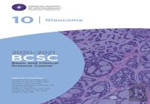 2020-2021 Basic And Clinical Science Course (Tm) (Bcsc), Section 10: Glaucoma