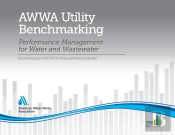 2020 Awwa Utility Benchmarking