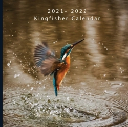 Bertrand.pt - 2021 - 2022 Kingfisher Calendar