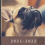 2021 - 2022