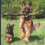 2021 - 2022
