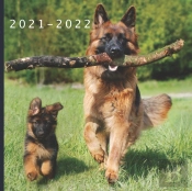2021 - 2022