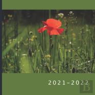 2021 - 2022