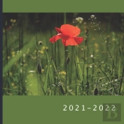 2021 - 2022