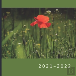 Bertrand.pt - 2021 - 2022