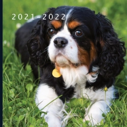 Bertrand.pt - 2021 - 2022