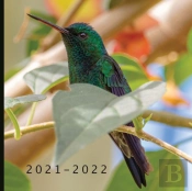 2021 - 2022
