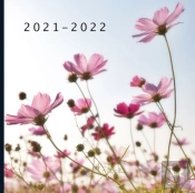 2021 - 2022