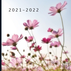 Bertrand.pt - 2021 - 2022
