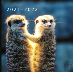 Bertrand.pt - 2021 - 2022