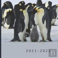 2021 - 2022