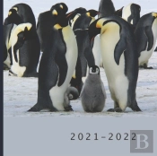 2021 - 2022