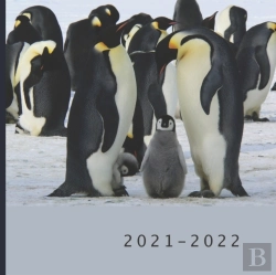 Bertrand.pt - 2021 - 2022