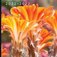 2021 - 2022