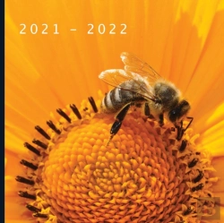 Bertrand.pt - 2021 - 2022