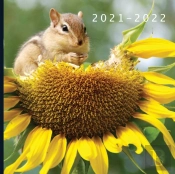 2021 - 2022
