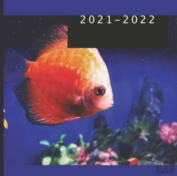 Bertrand.pt - 2021 - 2022