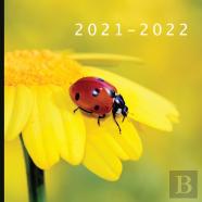 2021 - 2022