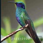 2021 - 2022