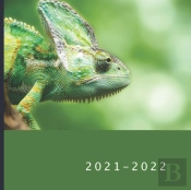 2021 - 2022