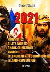 2021 ; Prophéties : Gilets Jaunes, Chaos Climatique, Anarchie, Effondrement Économique, Islamo-Révolution