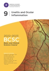 2022-2023 Basic And Clinical Science Courseâ„¢, Section 09: Uveitis And Ocular Inflammation