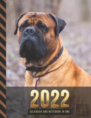 2022 Calendar And Notebook In One