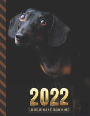 2022 Calendar And Notebook In One
