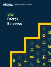 2022 Energy Balances