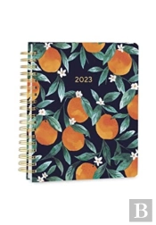 2023 Citrus Hardcover Deluxe Planner