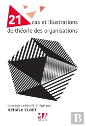 21 Cas Et Illustrations De Théorie Des Organisations