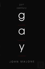 21st Century Gay