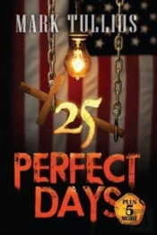 25 Perfect Days