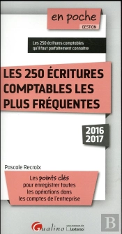 250 Ecritures Comptables Les Plus Frequentes (Les)