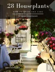28 Houseplants