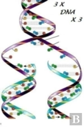 3 X Dna X 3