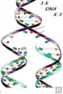 Bertrand.pt - 3 X Dna X 3
