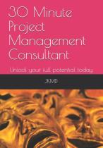 30 Minute Project Management Consultant
