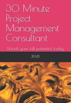 Bertrand.pt - 30 Minute Project Management Consultant