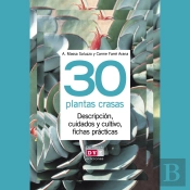 30 Plantas Crasas