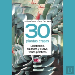 Bertrand.pt - 30 Plantas Crasas