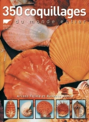 350 Coquillages Du Monde Entier