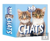 365 Jours - Chats